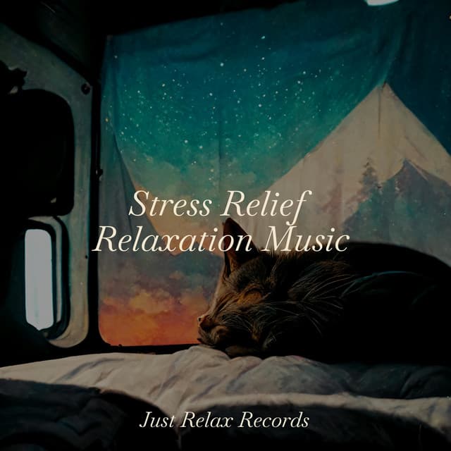 Stress Relief Relaxation Music - Bedtime Baby