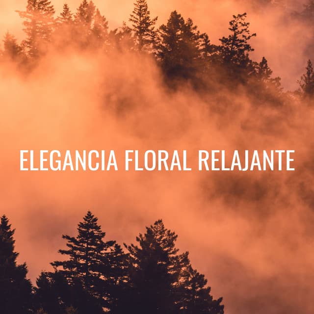 Elegancia Floral Relajante - Proyecto Naturaleza Ambiental