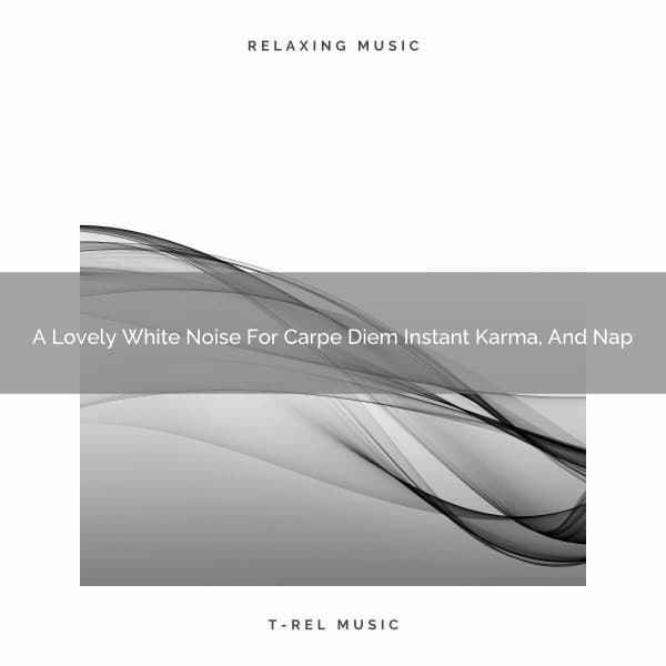 A Lovely White Noise For Carpe Diem Instant Karma, And Nap - White Noise For Sleeping Problems