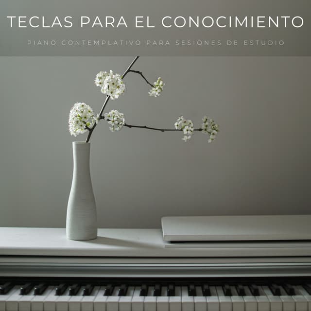 Teclas Para El Conocimiento: Piano Contemplativo Para Sesiones De Estudio - Piano: relajación clásica