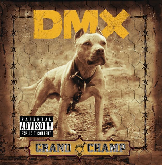 Grand Champ - DMX