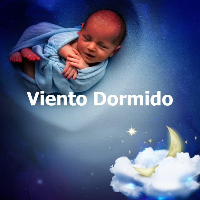 Viento Dormido - Música Para Meditar y Relajarse