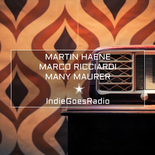 Indie Goes Radio - Martin Haene