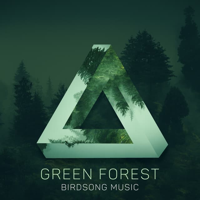 Green Forest - Birdsong Music, Forest Animals, Esthetic Music - Bird Song Group