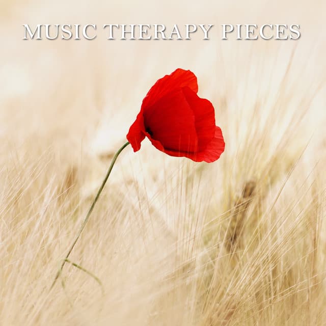 12 Music Therapy Pieces - Yoga Music Workout