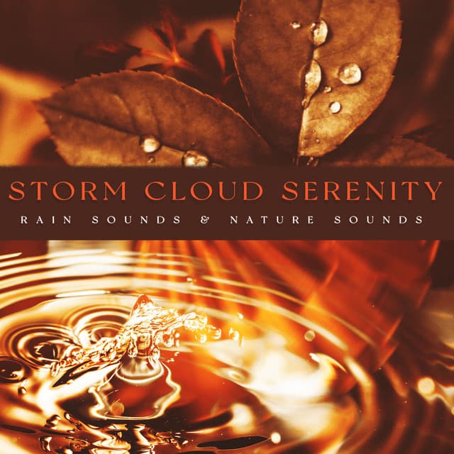 Storm Cloud Serenity - Rain Sounds & Nature Sounds