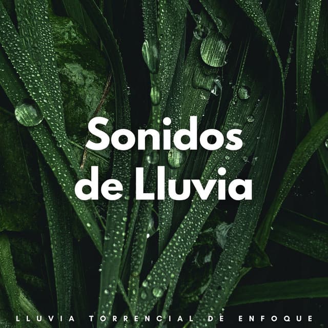 Sonidos De Lluvia: Lluvia Torrencial De Enfoque - Sonidos De Lluvia y Viento