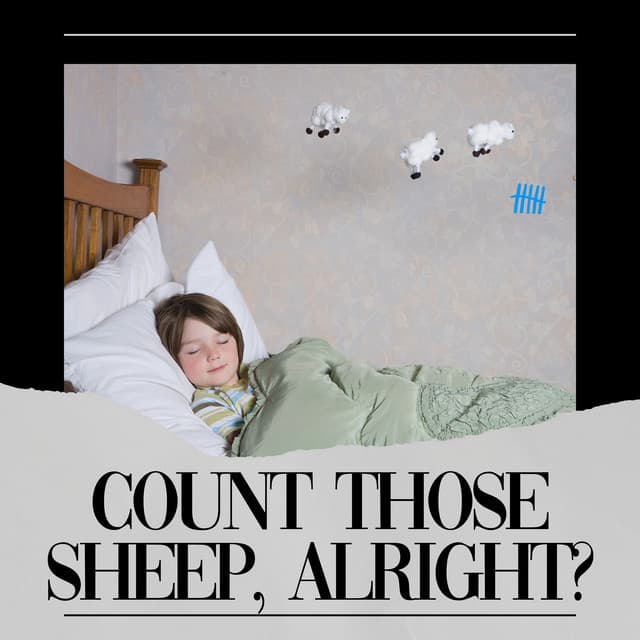 Count Those Sheep, Alright? - Deep Sleep Background Noise