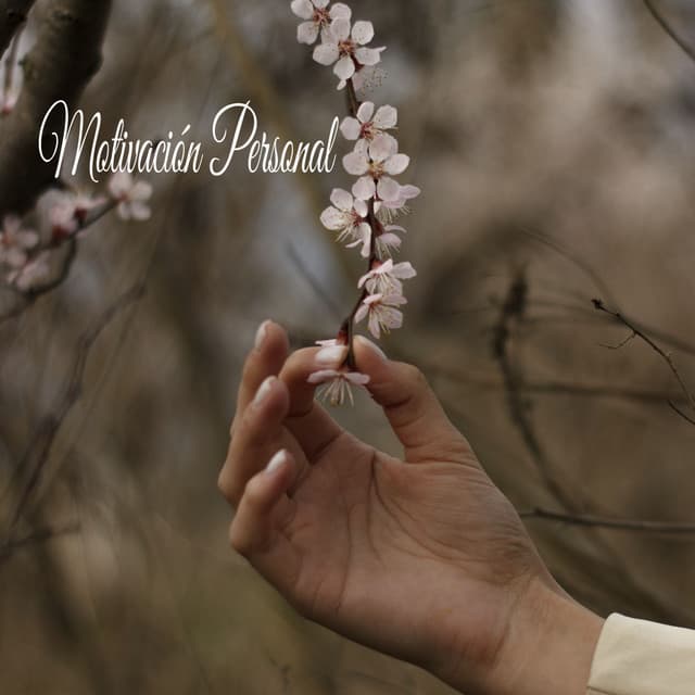 Motivación Personal - Sonido Del Bosque y Naturaleza