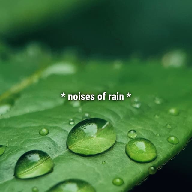 * noises of rain * - Sound Effects Library
