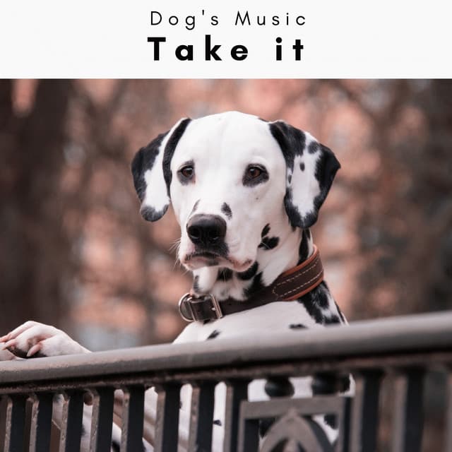 4 Dogs: Take it - Dog's Music