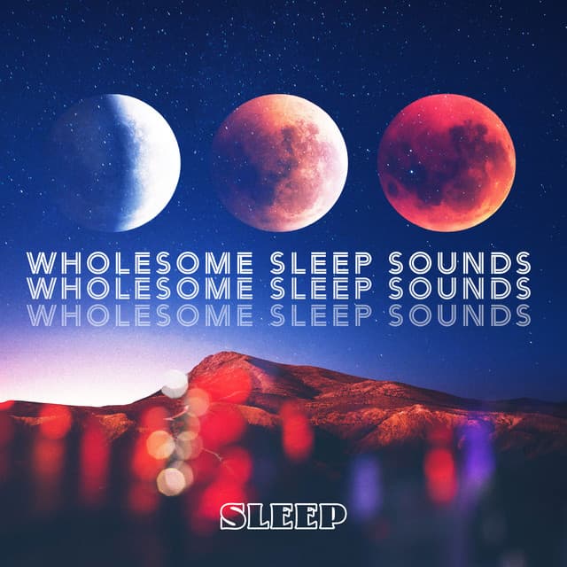 Wholesome Sleep Sounds - Sleep