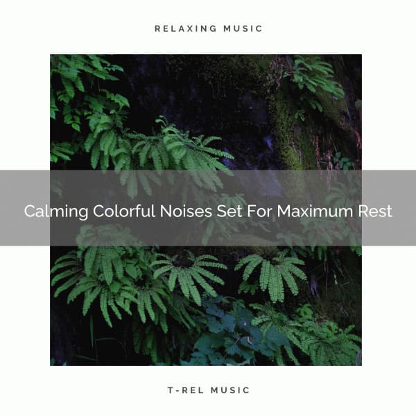 Calming Colorful Noises Set For Maximum Rest - Sleep Noise