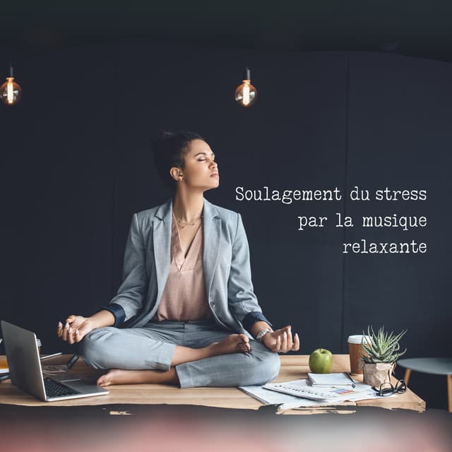 Soulagement du stress par la musique relaxante: Bien être au travail - Ensemble de Musique Zen Relaxante