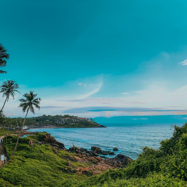 365 Coastal: Tropical Cove - Sea Waves Sounds