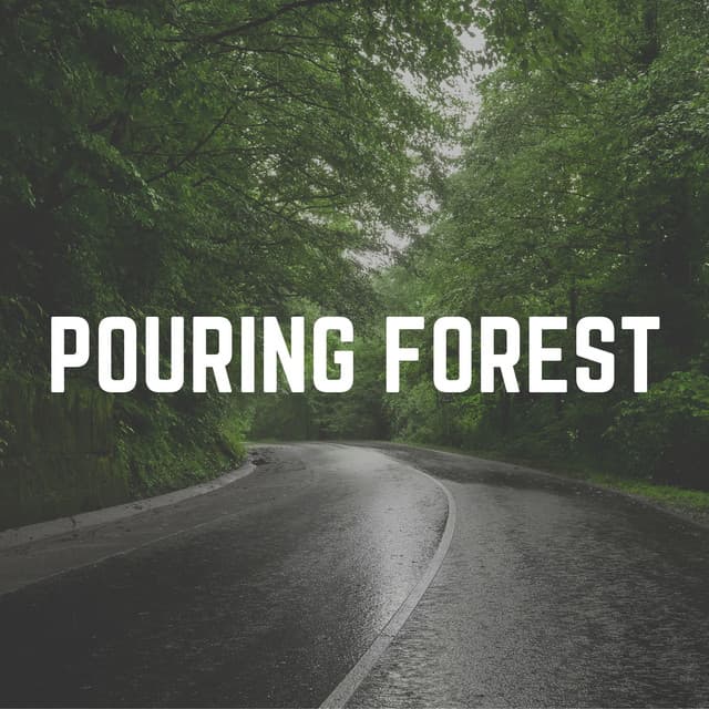 Pouring Forest - Pro Sound Effects Library