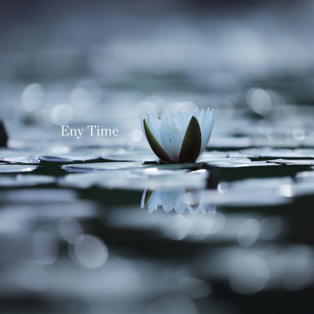 Waterlight Symphony - Eny Time