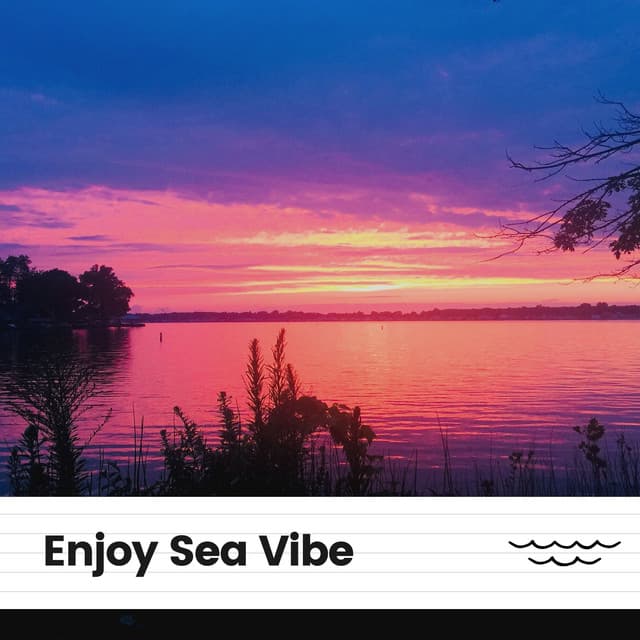 Enjoy Sea Vibe - Water Science
