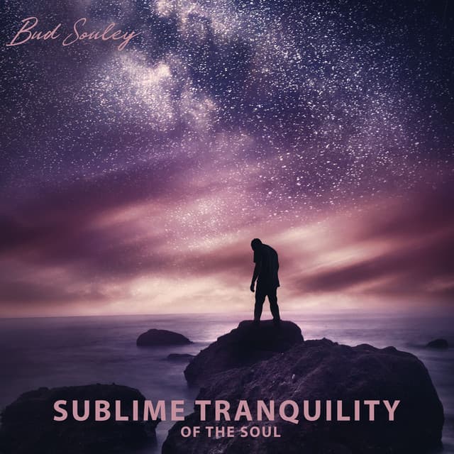 Sublime Tranquility of the Soul - Bud Souley