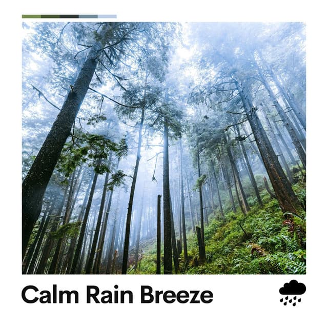 Calm Rain Breeze - Clear Mind Raining
