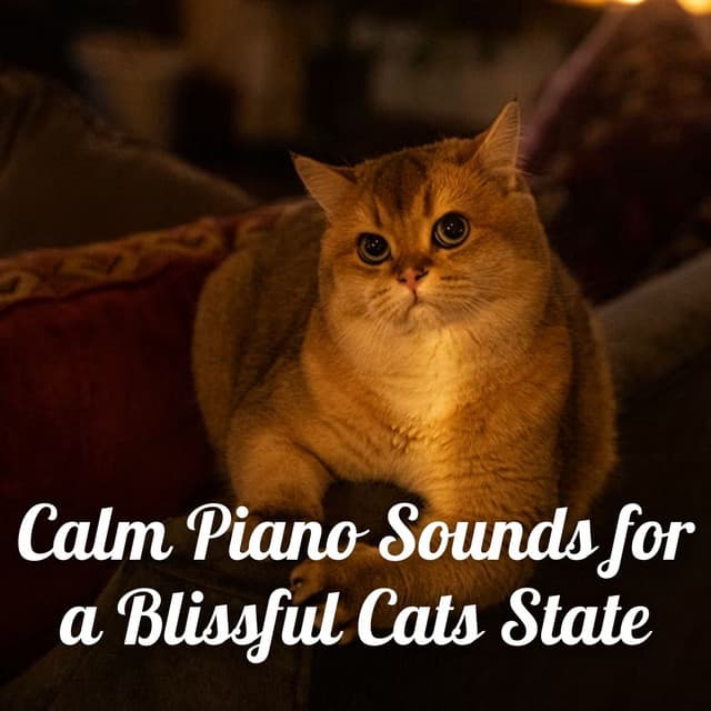 Cat Peace Music
