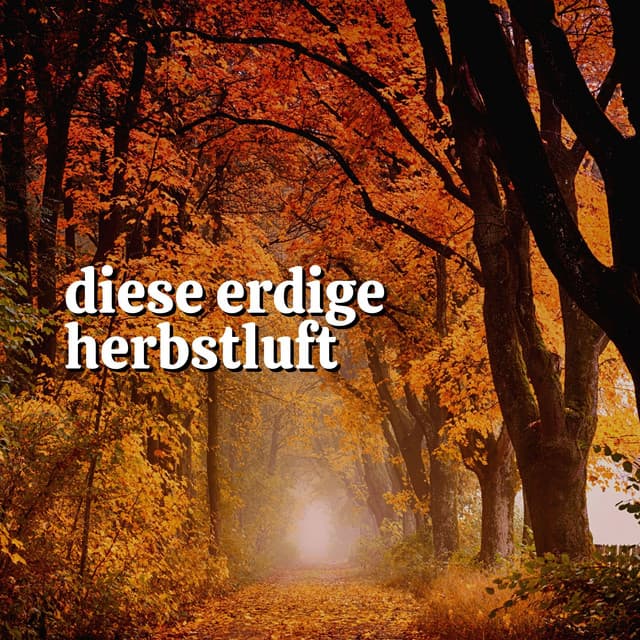 Diese erdige Herbstluft - Naturgeräusche Meditationsmusik
