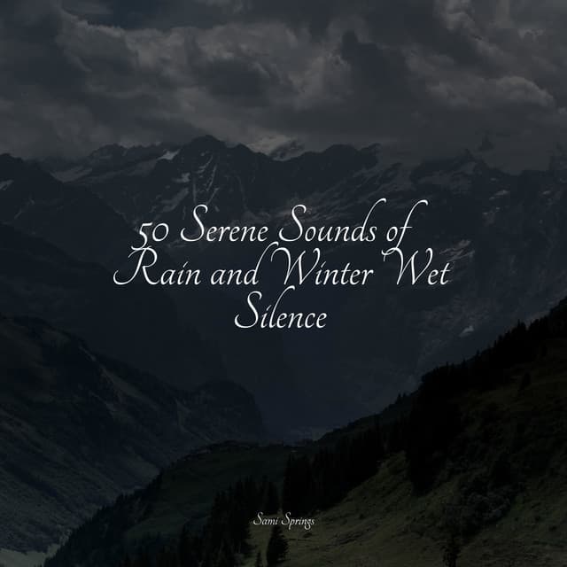 50 Serene Sounds of Rain and Winter Wet Silence - Sample Rain Library