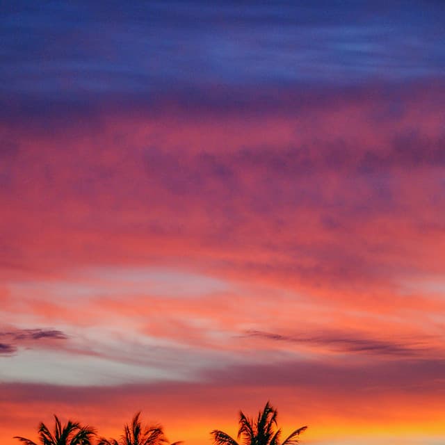 50 Coastal Views:Sunsets & Sunrises - Seascapers