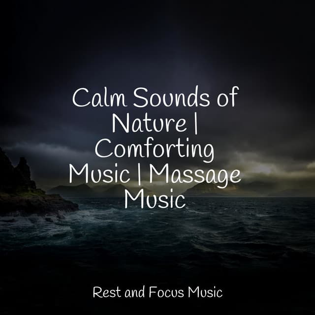 Calm Sounds of Nature | Comforting Music | Massage Music - Classical New Age Piano Music