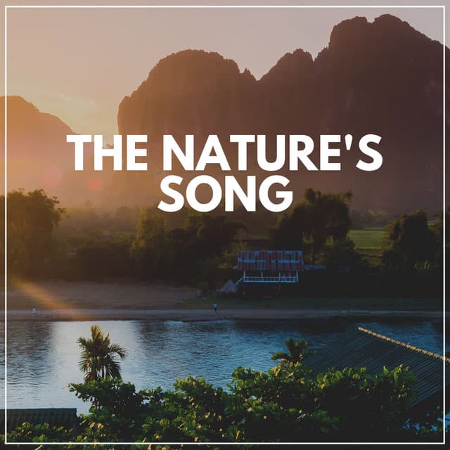 The Nature's Song - Bird Sounds