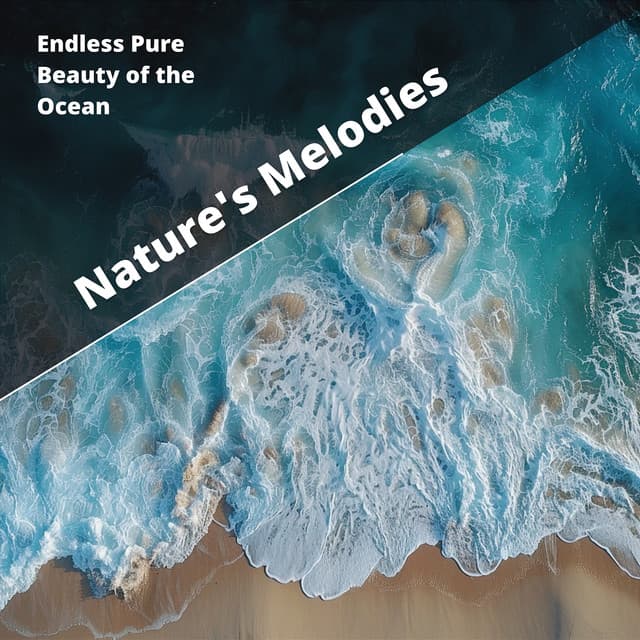 Endless Pure Beauty of the Ocean - Nature's Melodies