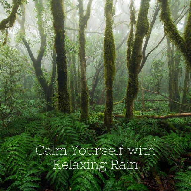 Calm Yourself with Relaxing Rain - Relaxxium