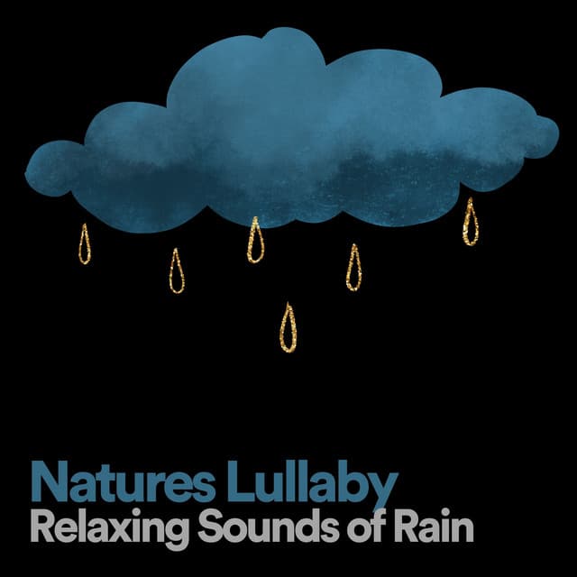 Natures Lullaby Relaxing Sounds of Rain - Rain Storm Sample Library