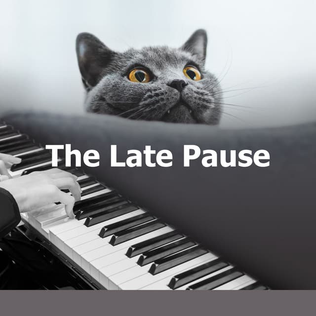 The Late Pause - Classical For Study