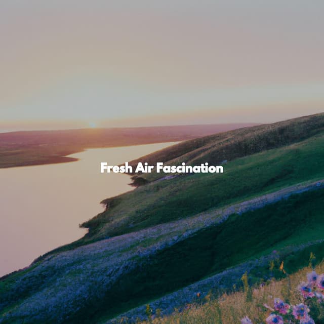 Fresh Air Fascination - Jazz Rilassante Playlist