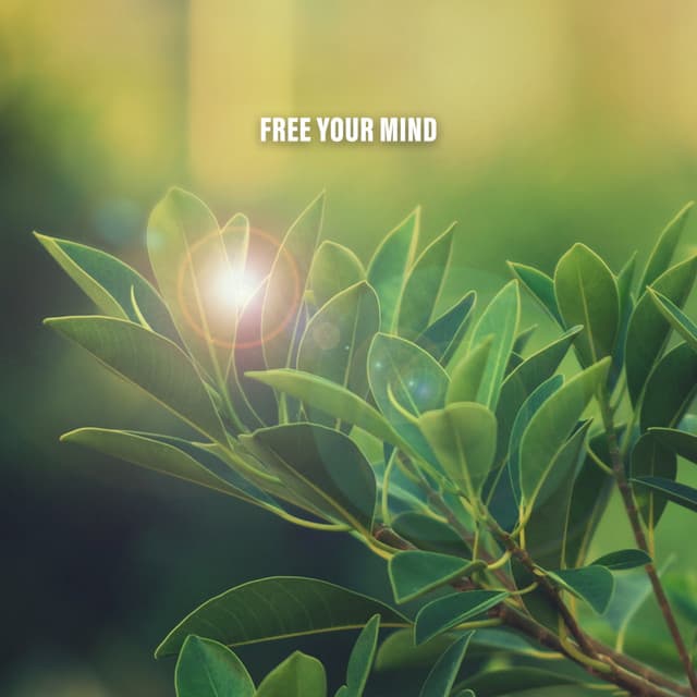 Free Your Mind - Thunder Storms