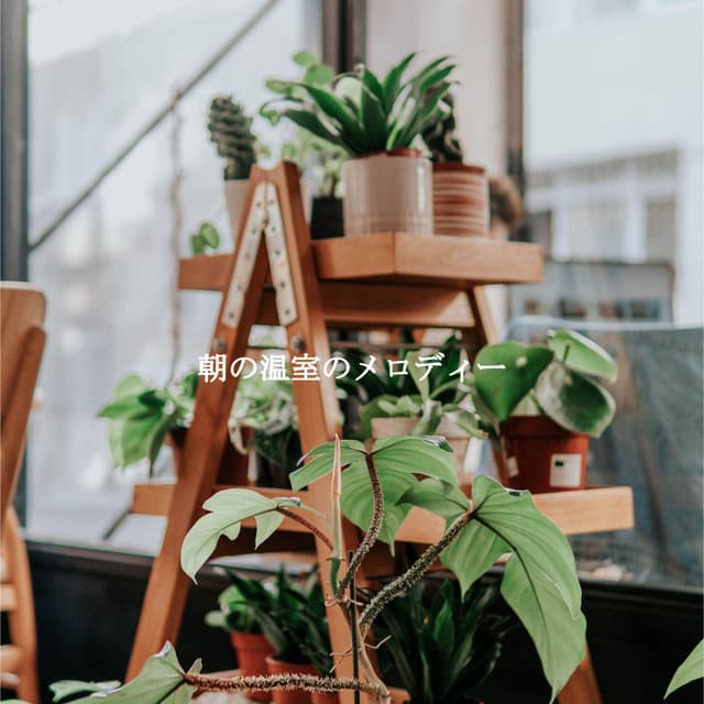 朝の温室のメロディー - Music for Programming