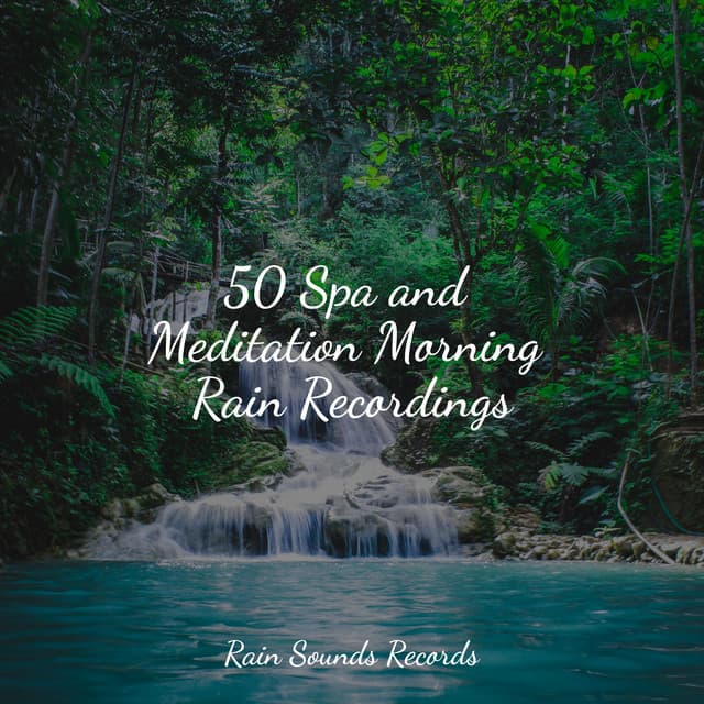 50 Spa and Meditation Morning Rain Recordings - New Age