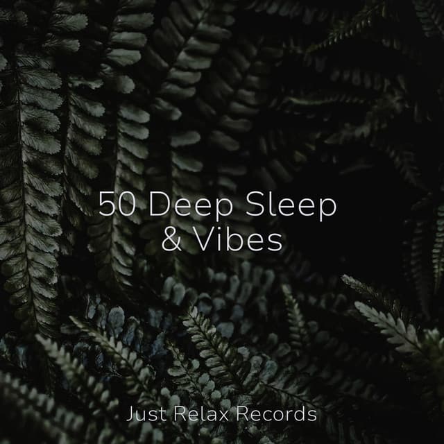50 Deep Sleep & Vibes - Binaural Beats Brainwave Entrainment