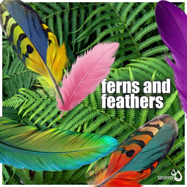 Ferns and Feathers - Rain Sounds & White Noise