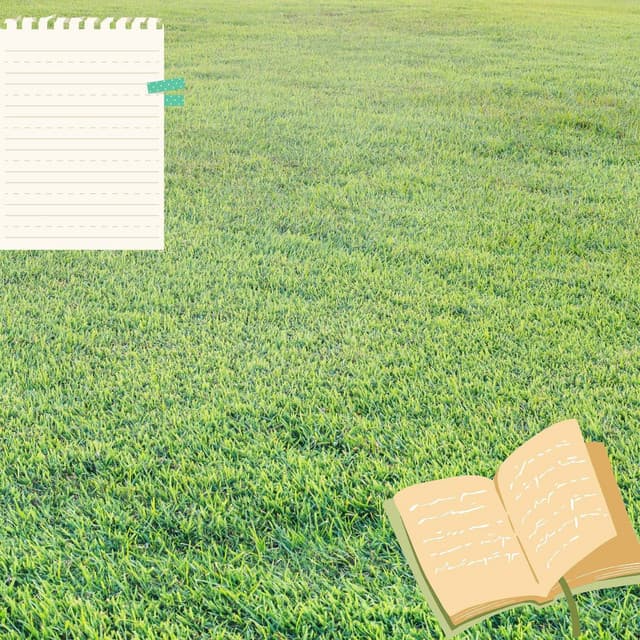 Feelings for Entertaining Classics - Work at Home Music