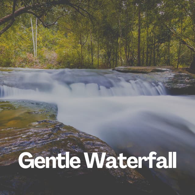 Gentle Waterfall - Sounds of the Forest