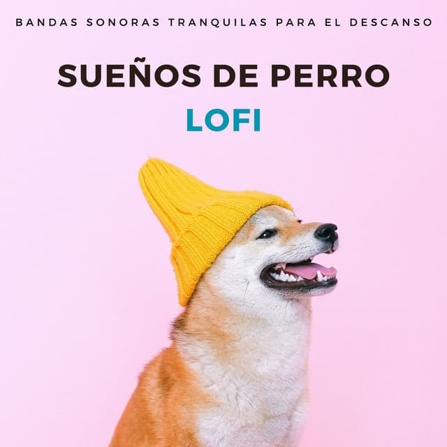 Sueños De Perro Lofi: Bandas Sonoras Tranquilas Para El Descanso - Ritmo de hip-hop lofi