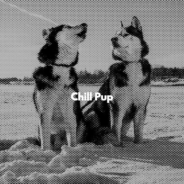 Chill Pup - Jazz Vibe Duo