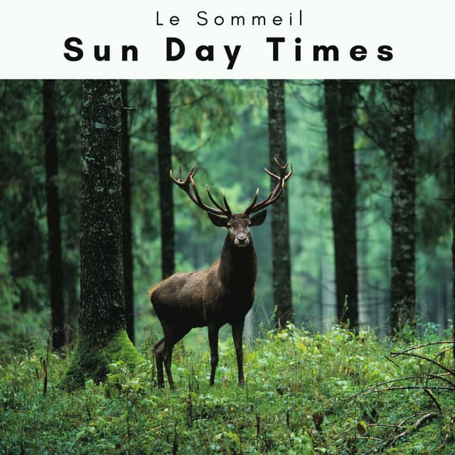 2023: Sun Day Times - Le Sommeil