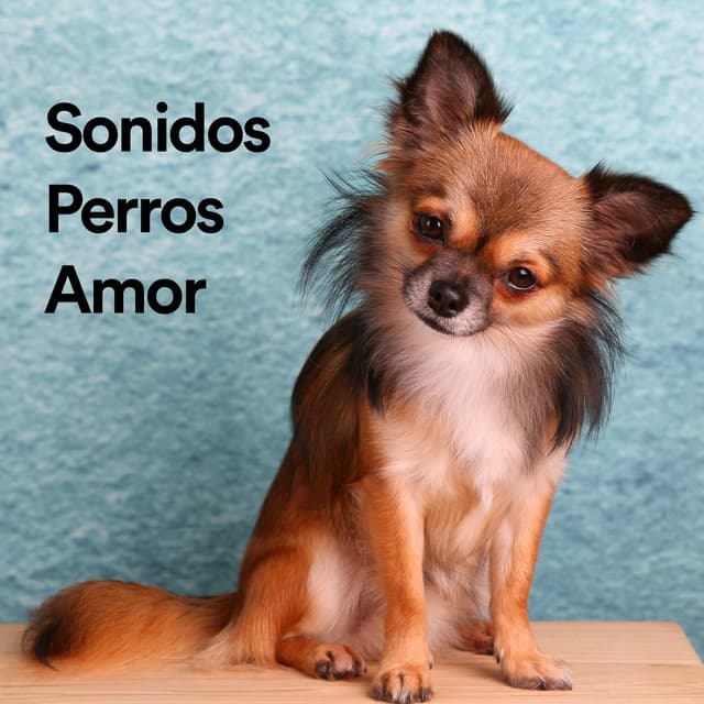 Sonidos Perros Amor