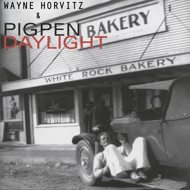 Daylight - Wayne Horvitz