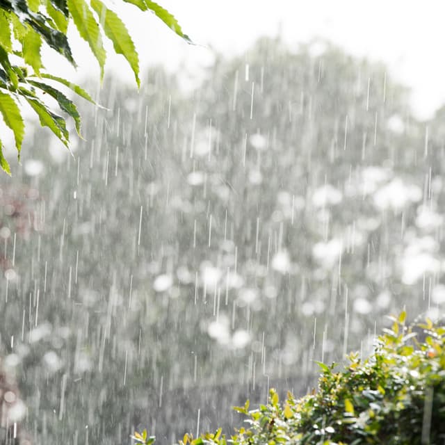 White Noise Rain Sounds