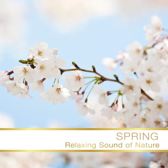 Nature Orchestra