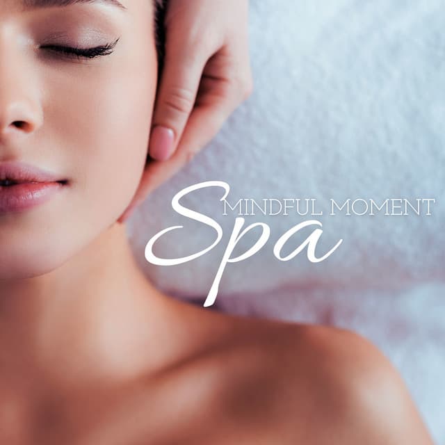 Mindful Moment Spa: Cultivating Presence, One Moment at a Time - Meditation Therapy Society